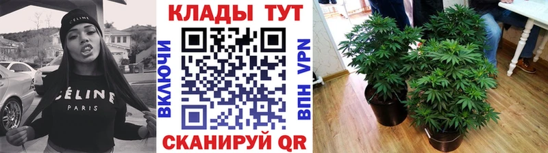 Наркотические вещества Камешково Конопля  MDMA  СК  ГАШ  Мефедрон 