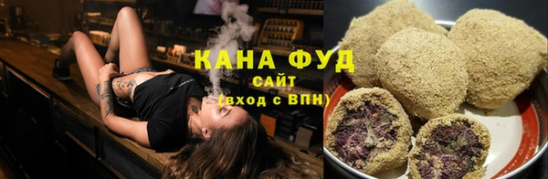 гашик Заводоуковск