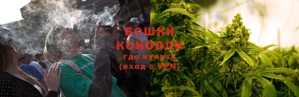 гашик Заводоуковск