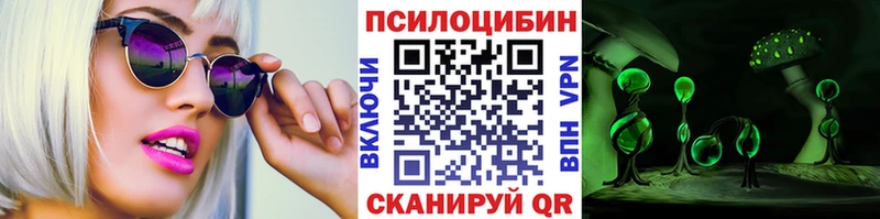 Галлюциногенные грибы Psilocybe  где купить наркоту  darknet наркотические препараты  Камешково 